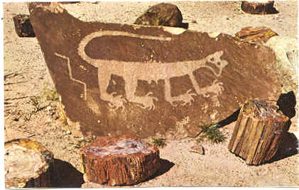 (30K); Petrified Forest, Arizona 1960s?